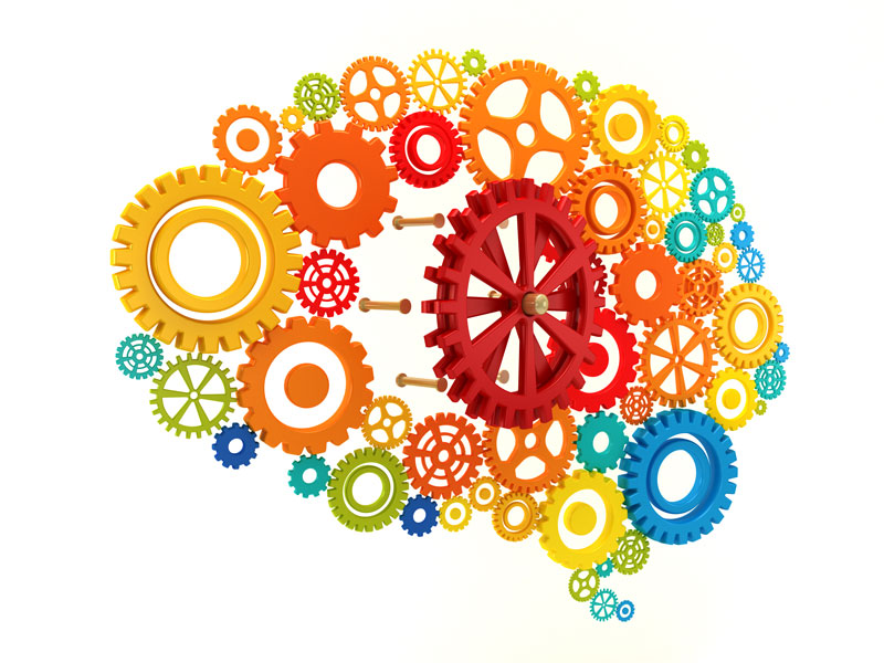 BalancedBrain2